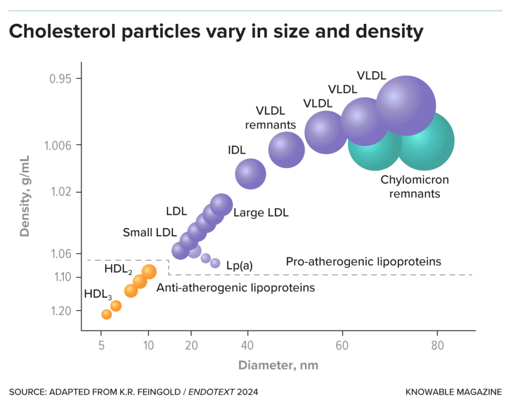 lipid profile