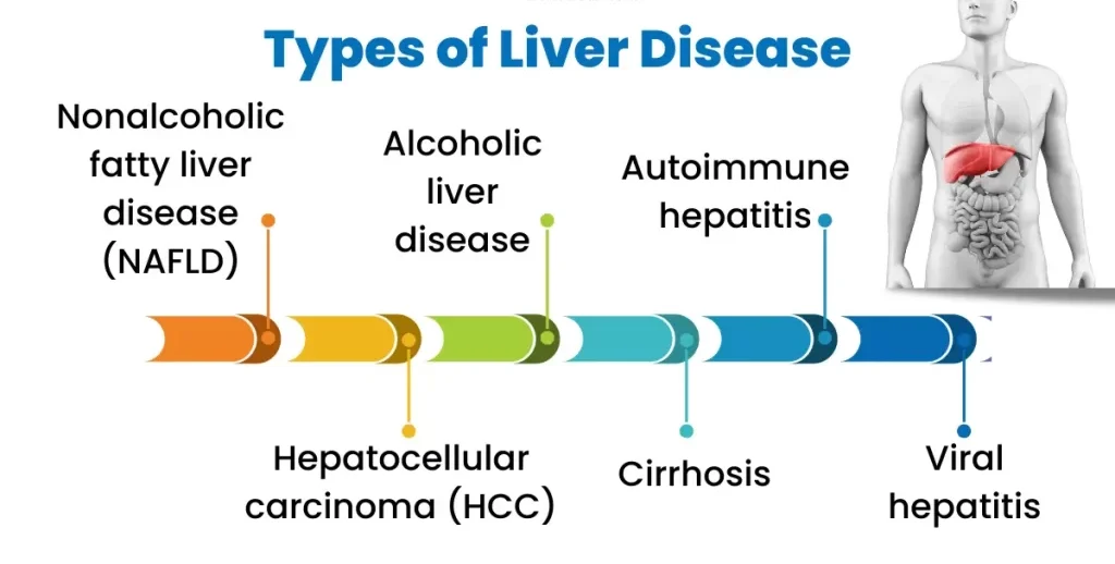 liver